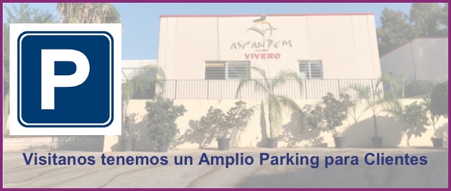 Parking para Clientes,Aseos,Vivero Aspandem